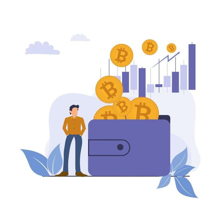 3. Set Up Your Wallet